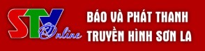 Ảnh cột phải 7